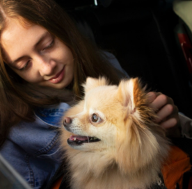 Travel Anxiety in Dogs