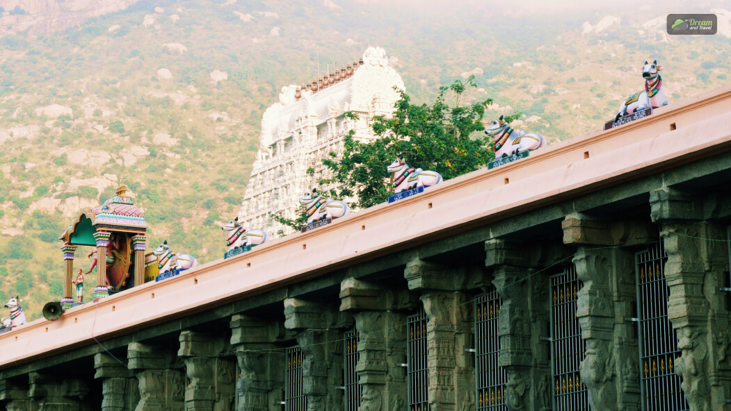 How To Travel The Hyderabad To Arunachalam Temple Distance_ Know The Different Modes of Transportation